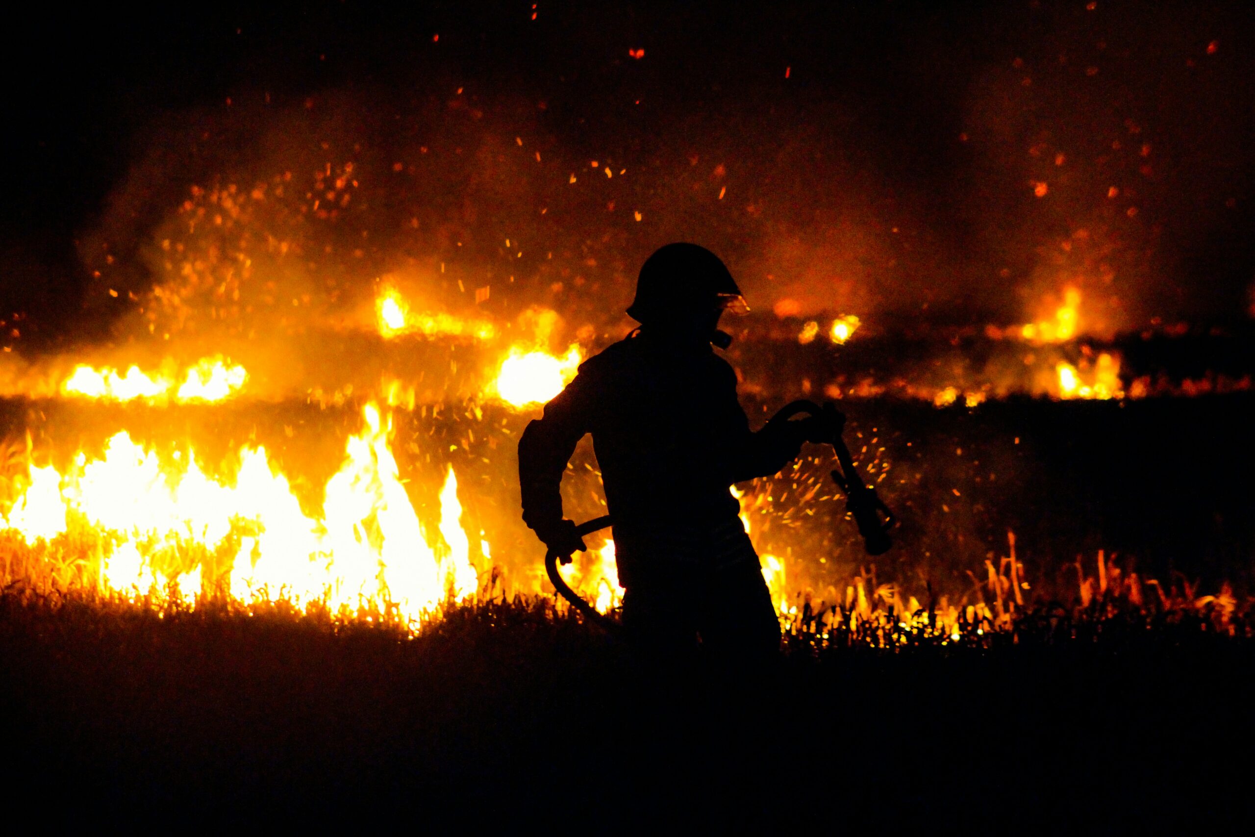 pompier au coeur d'un feu de foret